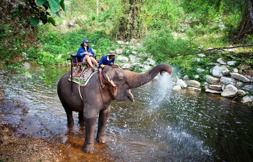 A visitor to Khao Yai National Park riding an elephant