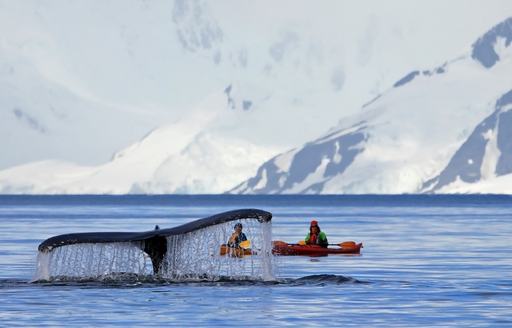 couple whale watching in Antarctica on a kanoe