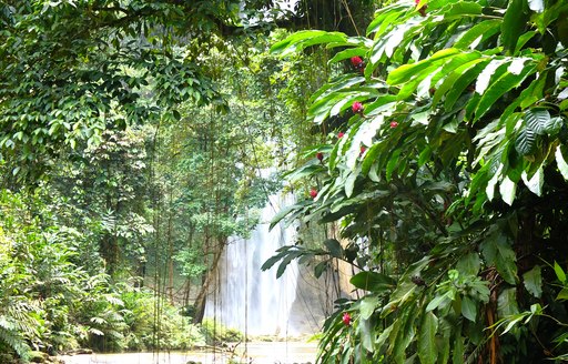 Tenaru waterfall, Guadalcanal Island, Solomon Islands  R