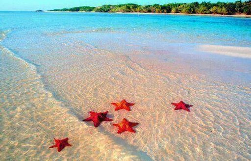 Great Abacos beach