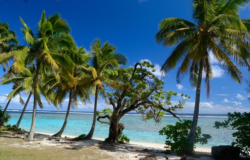 Sandy beach island in Papua New Guinea