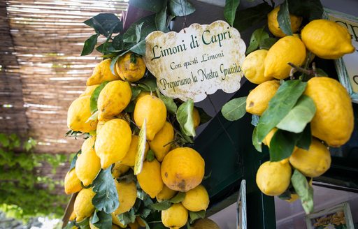 Hanging bunch of lemons from Capri, Italy
