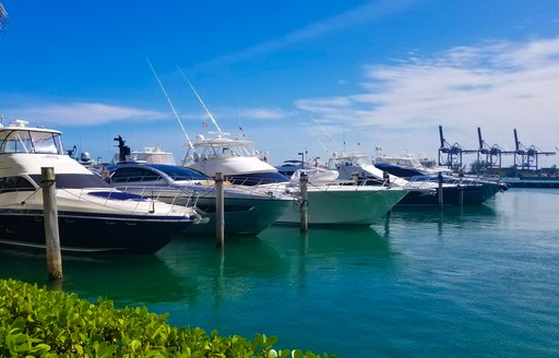 Motor Yachts in Miami 