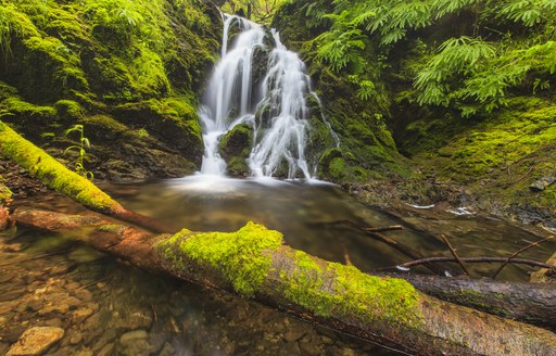 A waterfall in the San Juan Islands, Washington