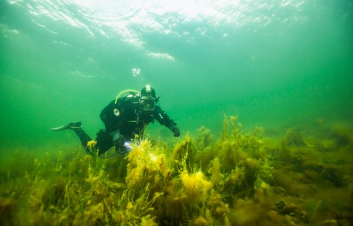 Scuba diver examines a wreck in Hanko, Finland