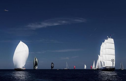 sailing yachts line up for regatta
