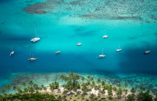 yachts anchored in a bay in Mo'orea, French Polynesia