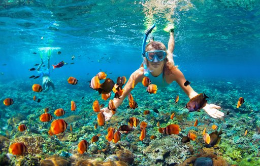 Girl snorkeling surrounded by fish in the seas of BVI, the Caribbean