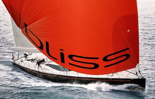 sailing yacht BLISS's orange spinnaker