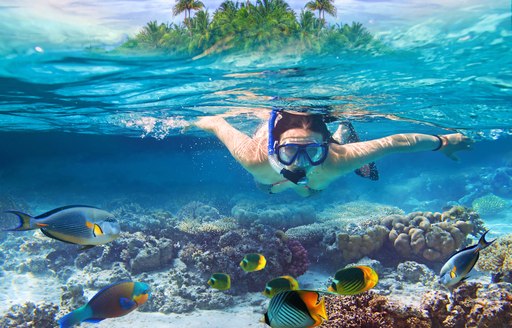 Underwater photo of person snorking with coral and colorful fish beneath them