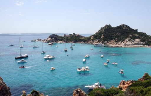 sailing yachts gather for a race in the regatta