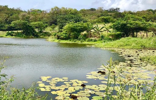Grenada - Levera National Park lake