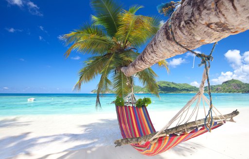 hammock hangs from a palm tree on white sand beach in Seychelles