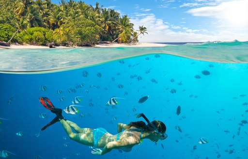 Woman snorkelling in the Caribbean sea