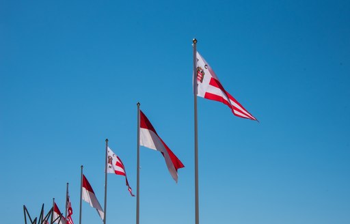 Flags flying at the MYS 2021