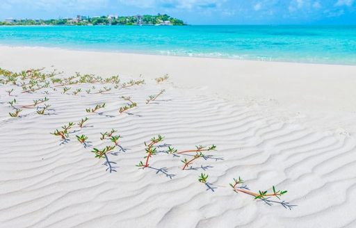Turks & Caicos - Taylor Bay Beach