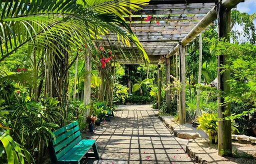 Garden of the Groves Bahamas path