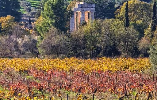 Archaeological site of Nemea Nafplio vineyard