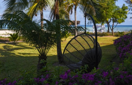 relaxation area on thanda island, with egg-shaped hanging swing, palm trees and lush green grass