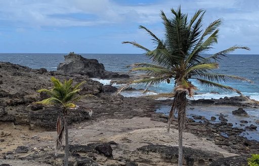 Presqu'Île Caravelle Martinique