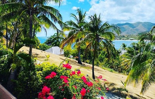 Curtain bluff antigua views