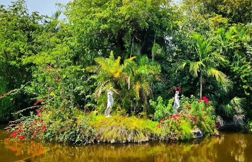 Garden of the Groves Bahamas