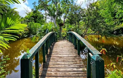 Garden of the Groves Bahamas bridge