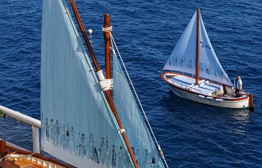 Il Riccio Dioriviera sailing boats