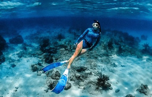 Abacos Islands Bahamas - Man-O-War Cay snorkeling