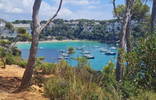 Macarelleta Menorca beach trees