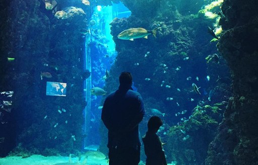 Oceanographic Museum of Monaco aquarium, people