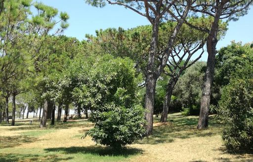 Parco Virgiliano Naples