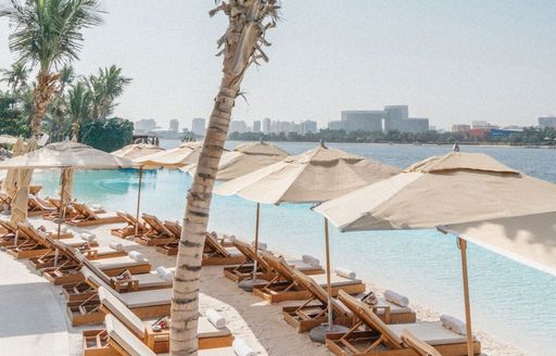 plush sunbeds next to blue waters at TWIGGY Dubai