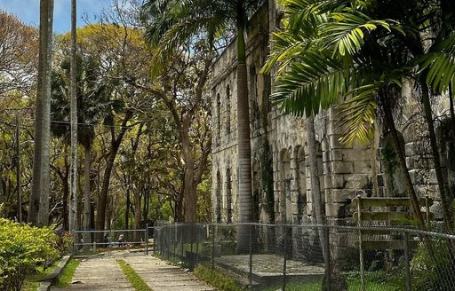 Farley Hill National Park Barbados ruins forest