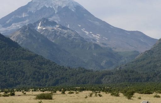 Patagonia - Parque Nacional Lanín mountain forest