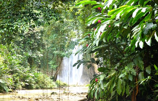 Tenaru waterfall, Guadalcanal Island, Solomon Islands 