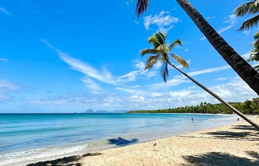 Plage des Salines Martinique beach