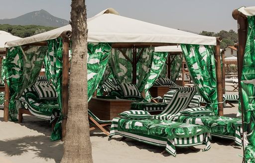 Twiga Versilia Beach club, palm tree