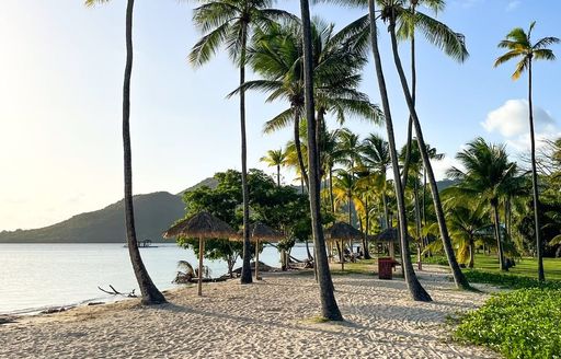 Plage de Pointe Marin Martinique
