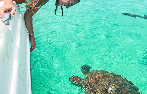 Abacos Islands Bahamas - Manjack Cay turtle person