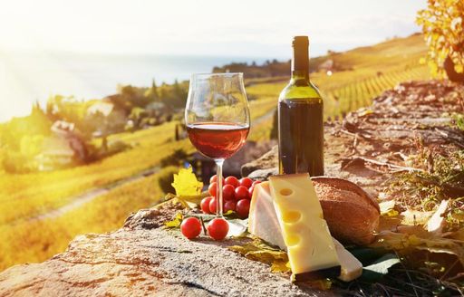 cheese and wine at vineyard