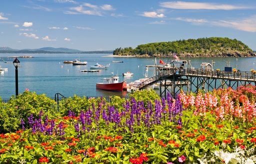 New England coastline with bright flora