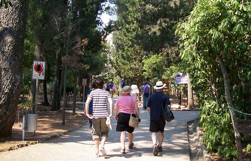 Dubrovnik - Lokrum Island botanical garden