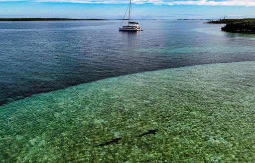 Abacos Islands Bahamas - Lynyard Cay water