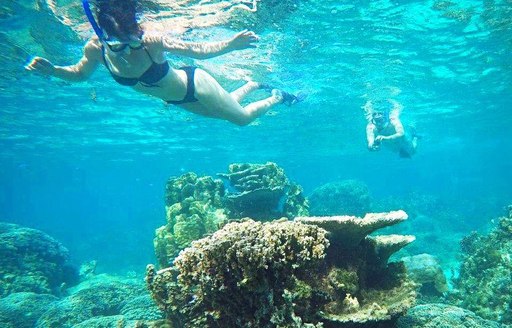 Tahiti - Tahiti Lagoon Paradise snorkeling reef
