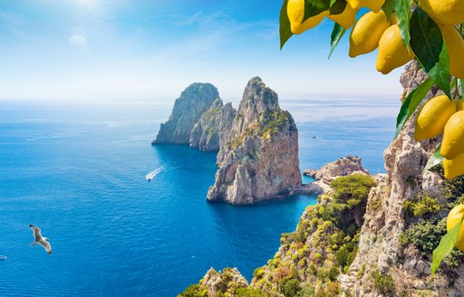 View through lemons over Capri