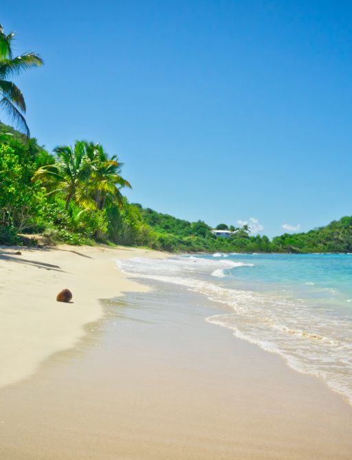 Sandy beach and clear water lapping the shore, with palm trees in the British Virgin Islands in the Caribbean