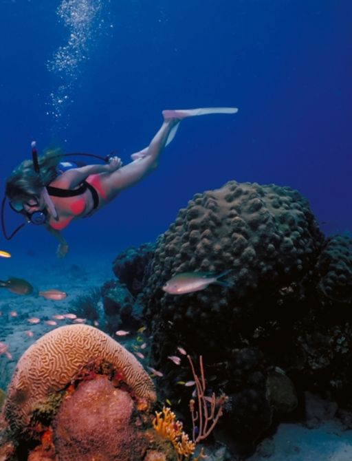 Charter guest snorkelling in the warm waters at St. Croix Island in US Virgin Islands