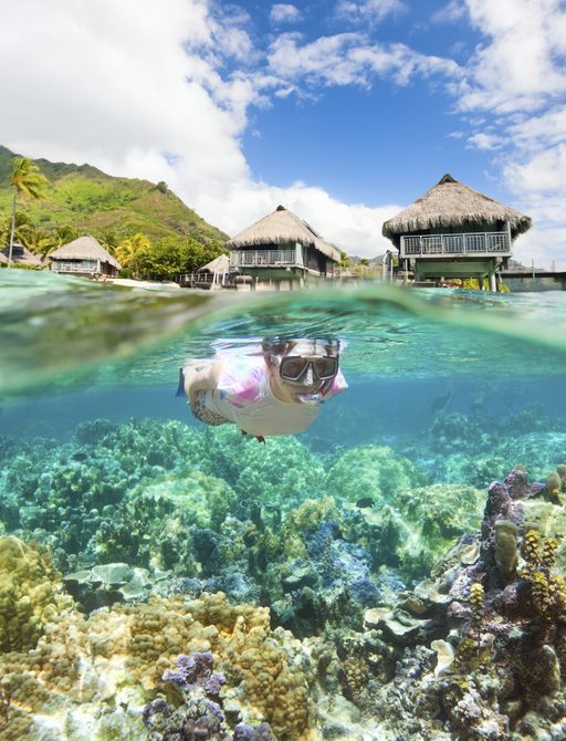 female snorkeler discovers rich coral in Tahiti waters