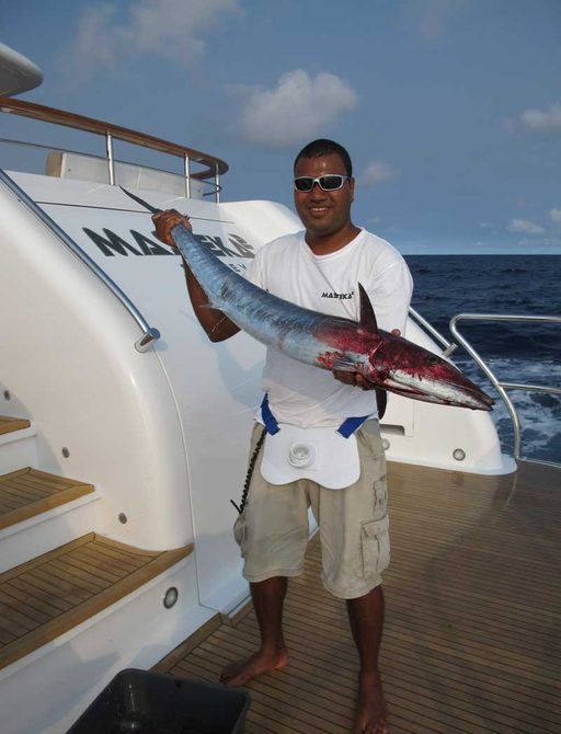 Sport fishing - barracuda caught on charter